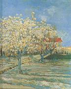 Vincent Van Gogh Orchard in Blossom (nn04) USA oil painting reproduction